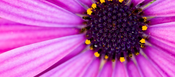 Complete Birth Calmbirth class Sydney web